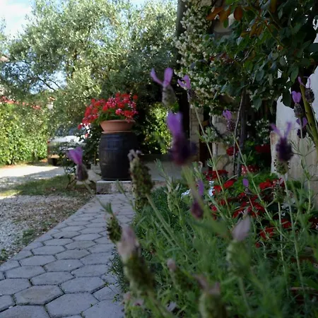 Appartement Viva Molindrio