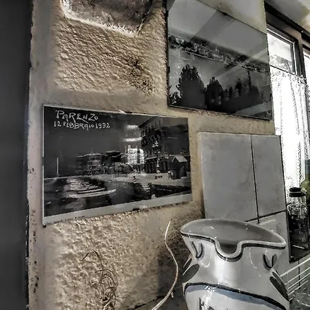Viva Molindrio