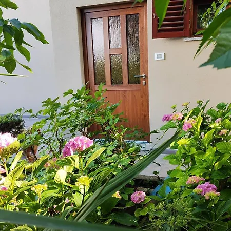 Viva Molindrio Porec