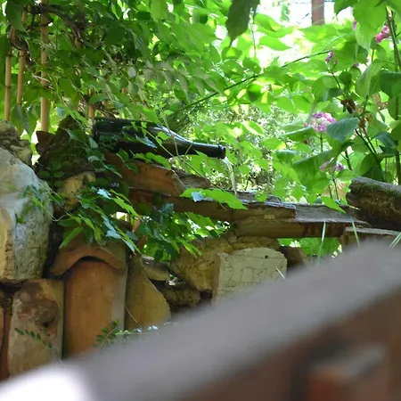 Viva Molindrio Apartment Porec