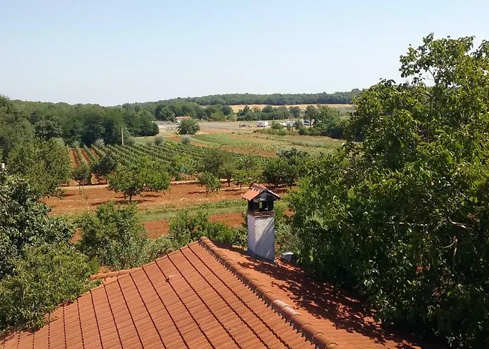 Viva Molindrio * Πόρετς