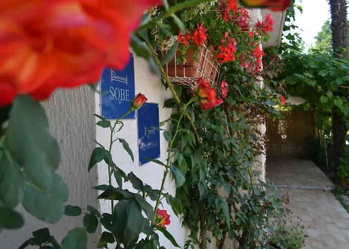 Viva Molindrio Πόρετς